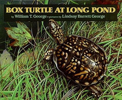 box turtle at long pond 1st edition william t george ,lindsay barrett george 0688081843, 978-0688081843