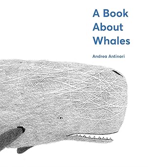 a book about whales 1st edition andrea antinori 1419735020, 978-1419735028