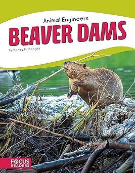 beaver dams 1st edition nancy furstinger 1635179580, 978-1635179583