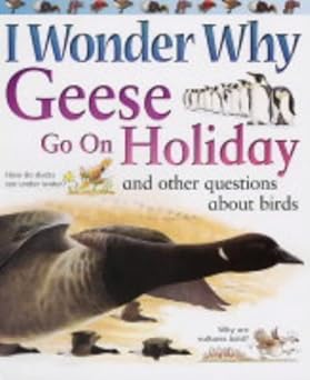 i wonder why geese go on holiday and other questions about birds 1st edition amanda o\\\\\\\'neill