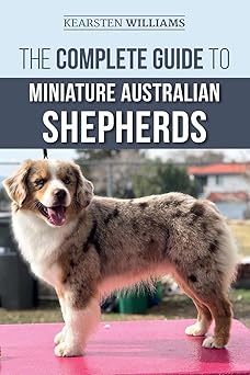 the complete guide to miniature australian shepherds finding caring for training feeding socializing and