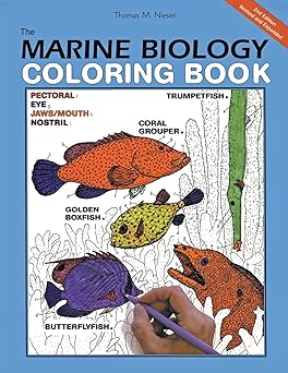 the marine biology coloring book 1st edition thomas m niesen 006273718x, 978-0062737182