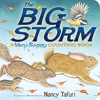 the big storm a very soggy counting book 1st edition nancy tafuri 144248179x, 978-1442481794