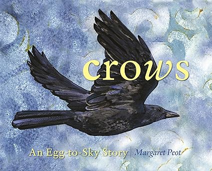 crows an egg to sky story 1st edition margaret peot 1493080970, 978-1493080977