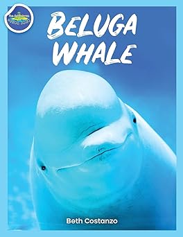 sea adventure booklet for kids a a beluga whale activity workbook for kidsa by beth costanzo a tracing and