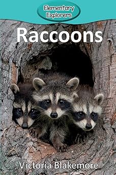 raccoons 1st edition victoria blakemore 194743912x, 978-1947439122