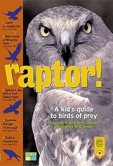 raptor a kids guide to birds of prey 1st edition christyna m laubach ,rena c laubach ,charles w g smith
