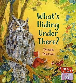 whats hiding under there a magical lift the flap book 1st edition daniela drescher 1782508570, 978-1782508571