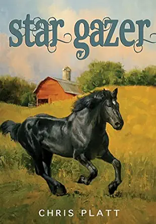 star gazer 1st edition chris platt 1561455962, 978-1561455966