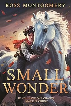 small wonder 1st edition ross montgomery 1536252468, 978-1536252460