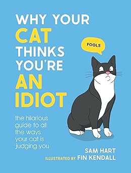 Why Your Cat Thinks Youre An Idiot The Hilarious Guide To All The Ways Your Cat Is Judging You
