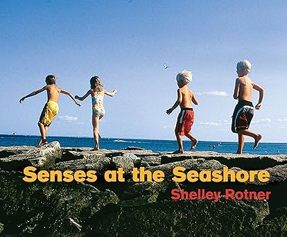 senses at the seashore 1st edition shelley rotner 0761365303, 978-0761365303