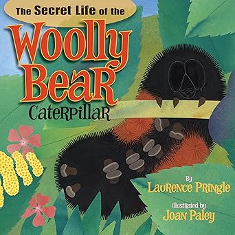 the secret life of the woolly bear caterpillar 1st edition laurence pringle ,joan paley 1620910004,