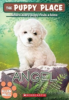 angel 1st edition ellen miles 1338069195, 978-1338069198