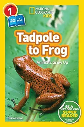 tadpole to frog animals grow up 1st edition shira evans ,national geographic kids 1426332033, 978-1426332036