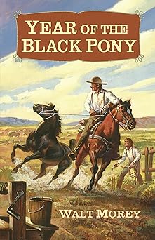 year of the black pony 1st edition walt morey 193235008x, 978-1932350081