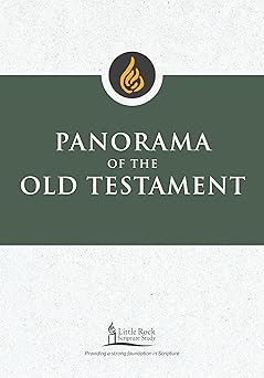 panorama of the old testament 1st edition stephen j binz ,little rock scripture study staff 0814663729,