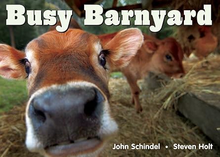busy barnyard 1st edition john schindel ,steven holt 1582461686, 978-1582461687