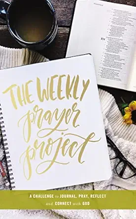 the weekly prayer project a challenge to journal pray reflect and connect with god 1st edition scarlet