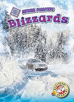 blizzards 1st edition betsy rathburn 1618917455, 978-1618917454