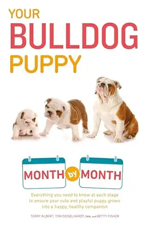 your bulldog puppy month by month everything you need to know at each stage to ensure your cute and playful