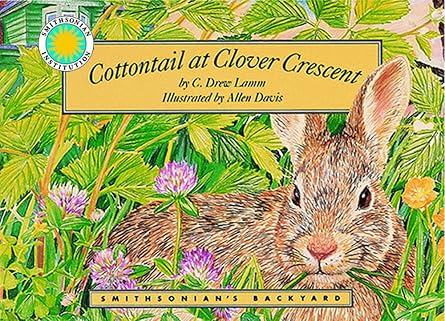 cottontail at clover crescent 1st edition c drew lamm ,allen davis 1568991088, 978-1568991085