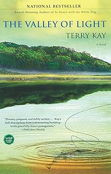 the valley of light a novel 1st edition terry kay 074347595x, 978-0743475952