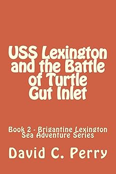 uss lexington and the battle of turtle gut inlet 1st edition mr david c perry ,mr charles o perry 1492725773,