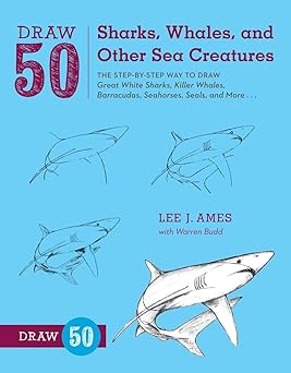 draw 50 sharks whales and other sea creatures the step by step way to draw great white sharks killer whales