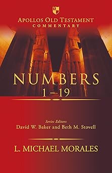 numbers 1 19 1st edition l michael morales 1789744717, 978-1789744712