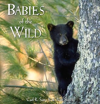 babies of the wild 1st edition jean sams ii, carl r, stoick 0982762550, 978-0982762554