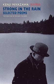 strong in the rain selected poems 1st edition kenji miyazawa 1852247819, 978-1852247812