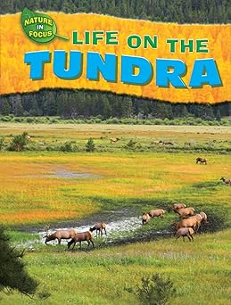 life on the tundra 1st edition jen green 1433934175, 978-1433934179