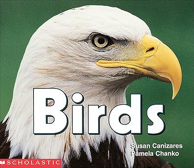 birds 1st edition susan canizares ,chanko pamela 0590769669, 978-0590769662