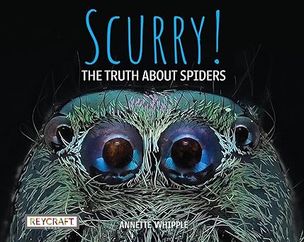 scurry the truth about spiders full of fun facts photographs illustrations and all your questions answered