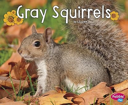 gray squirrels 1st edition g g lake 151570825x, 978-1515708254