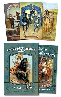 unbridled spirit tarot 1st edition tina tack anderson ,dianita 073877166x, 978-0738771663