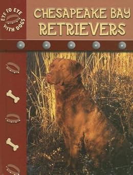 chesapeake bay retriever 1st edition lynn m stone 1600442390, 978-1600442391