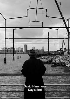 david hammons days end 1st edition adam d weinberg ,kellie jones ph d ,guy nordenson ,ben okri 0300263902,