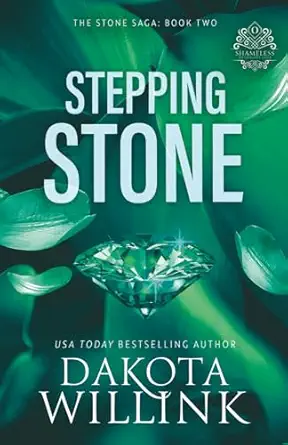 stepping stone 1st edition dakota willink 1954817118, 978-1954817111