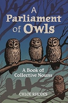 a parliament of owls a book of collective nouns 1st edition chloe rhodes 1789295955, 978-1789295955