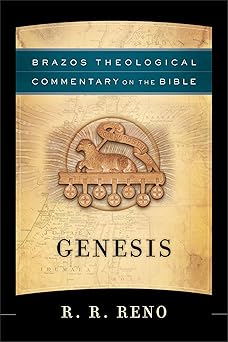 genesis a theological bible commentary on genesis from leading contemporary theologians btc 1st edition r r