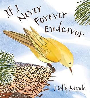 if i never forever endeavor 1st edition holly meade 0763640719, 978-0763640712