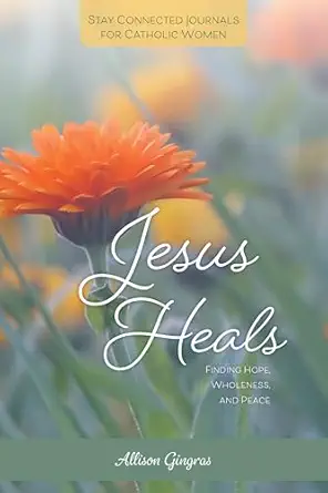 jesus heals finding hope wholeness and peace 1st edition allison gingras 1639662030, 978-1639662036