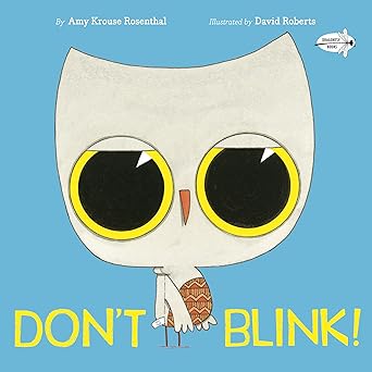 dont blink 1st edition amy krouse rosenthal ,david roberts 0593175697, 978-0593175699