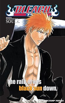 bleach souls official character book 1st edition tite kubo 1421520532, 978-1421520537