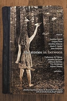 the stories in between a between books anthology 1st edition jonathan carroll ,jeffrey j mariotte ,maria v