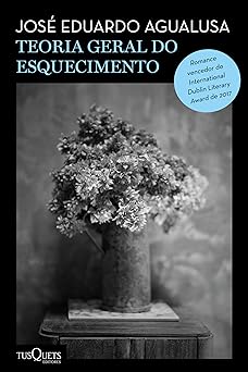 teoria geral do esquecimento 1st edition jose eduardo agualusa 8542223810, 978-8542223811