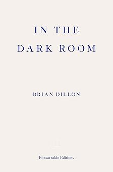 in the dark room 1st edition brian dillon ,frances wilson 1910695726, 978-1910695722