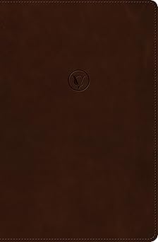 rvr 1960 biblia de estudio de casar vidal cafa sa mil piel 1st edition ca c sar vidal ,b h espaa ol editorial